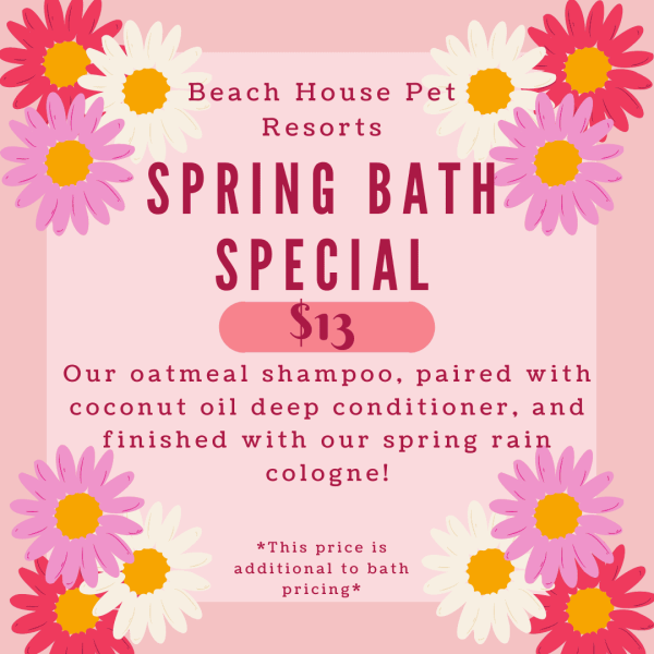 Spring Bath Special